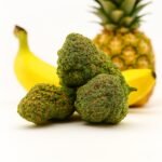 Banane Tropicale Cali – Pink Greenhouse Kali