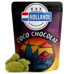 coco chocolat